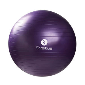 GYMBALL 75CM VIOLET